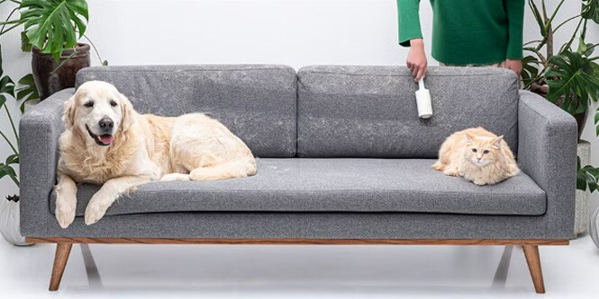 Woman cleaning a sofa with a Scotch-Brite™ Greener Clean™ Lint Roller
